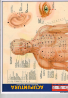 ATLAS PONTOS ACUPUNTURA.pdf